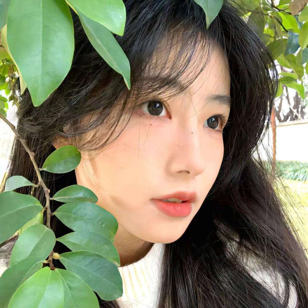 结婚白皮书